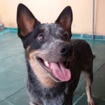 Fred - @fred_heller_ - Instagram