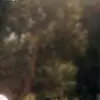 user97453295069 - @frederickheller - TikTok