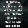 fredherzberg - @fredherzberg - TikTok