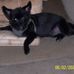 Fred Higgins - Facebook