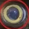 e - @highfred - TikTok