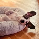 Fred - @fred_highoaks - Instagram
