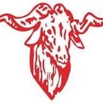 Fred high - @fhsbabies_ - Instagram