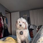 Karen Hilliard Fredley - @karenhilliardfredley - Instagram