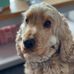 Fred Hodson - Facebook