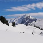 Fredi Bauhofer Switzerland - @fredibauhofer - Instagram