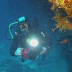Fred Hoffmann - @hoffmann8535 - Instagram