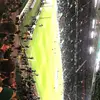 freddieholmes - @freddieholmes7 - TikTok