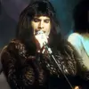 Freddie mercury - @freddieshoover - TikTok