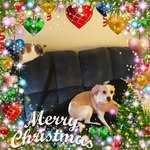 @fred.hoyle.73 - Instagram