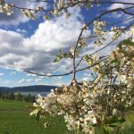 @fredhoy232 - Instagram