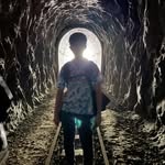 Fred Hu - @hollycowalubame - Instagram