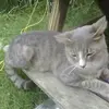 hubbel.fred - @hubbel.fred - TikTok