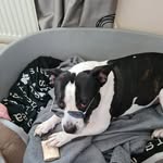 Fred humphries - @fredcharleshumphries - Instagram