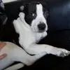 fred humphries - @followmeforacooki2 - TikTok