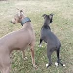 Fred Hunt ,mavis Hunt - @fred_and_mavis - Instagram