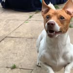 Freddie Huntley-Cooper - @freddiehc08 - Instagram