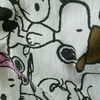 Fredibee - @fredibee - TikTok