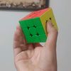 Fred Jack - @fred.the_parrot - TikTok