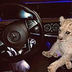 Fred Jackson - Facebook