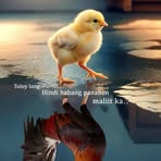 Frederick Jamili Pugoy - Facebook