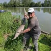 Fred Jankowski - @fredjankowski - TikTok