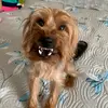 FRED🐶 - @fred._.jansen - TikTok