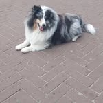 Fred Jansen - @fred.jansen.750983 - Instagram