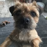 Fred jansen - @fredjansen5 - Instagram