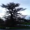Fred Jansen - @fredjansen36 - TikTok