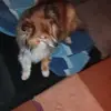 fredjansen783 - @fredjansen783 - TikTok