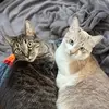 Fred & Jasper - @fredandjasper - TikTok