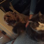 Fred And Jasper - @fredandjasper - Instagram