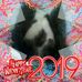 Fred Petra Kanter - Facebook