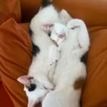 PetraKanter27 - @fredpetrakanter - Instagram