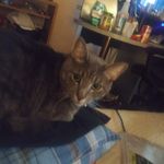 Fred Kenyon - @fred.kenyon.fire - Instagram