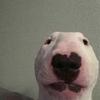 FreddieKenyln - @freddie.kenyon09 - TikTok