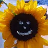FRED KITCHEN - @fred.kitchen6 - TikTok
