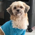 Théo ❤️ - @fred.klauss - Instagram