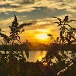 fred knapp - @ftknapp - Instagram