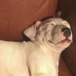 Fred Knapp - @guancheloco68 - Instagram