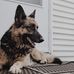 Fred Lee Knapp - Facebook