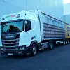 Fred Schuhknecht - @fred.schuhknecht - TikTok