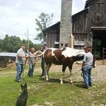 Fred Knowlton - @fred.knowlton.50 - Instagram