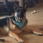 Fred Koenig II - @koenig962021 - Instagram