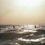 Frederik Kohn - @frederikk_kohn - Instagram
