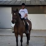 Fred Körner - @fred.korner - Instagram