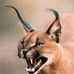 Frederik Kraft - Facebook
