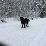 Fred Kuehn - @freddo___99 - Instagram