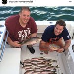 Fred kunz - @fred__kunz - Instagram